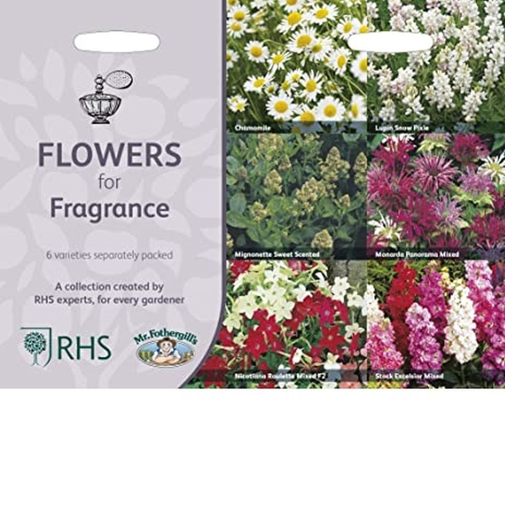 Flowers for Fragrance Seeds